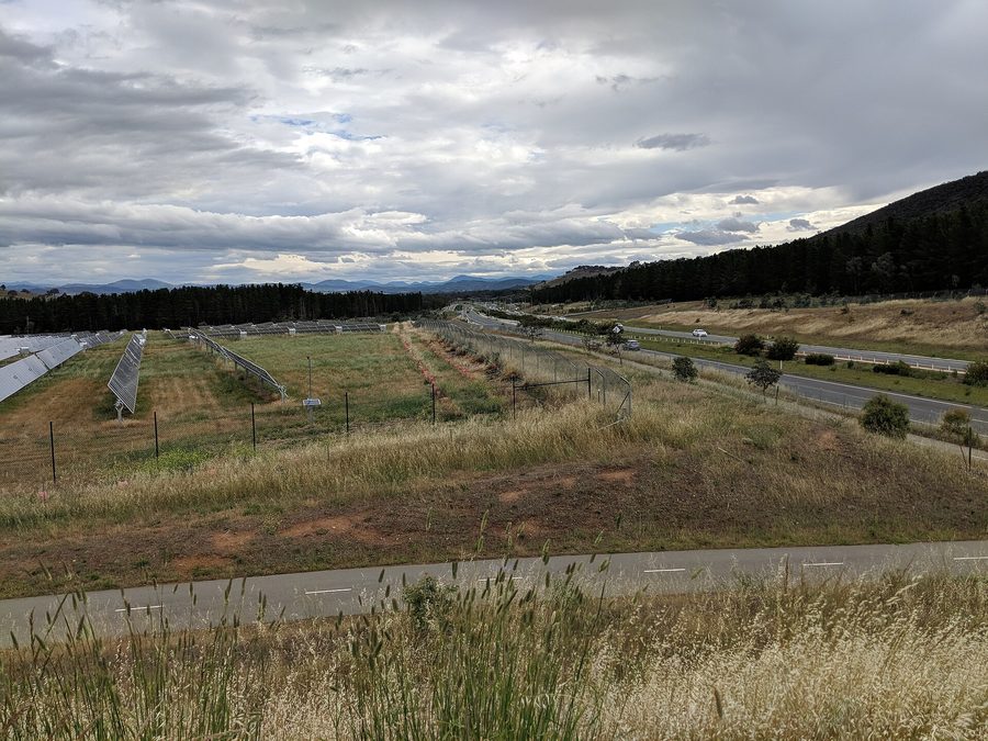 Rows of solar panels at the Mount Majura solar farm in the ACT